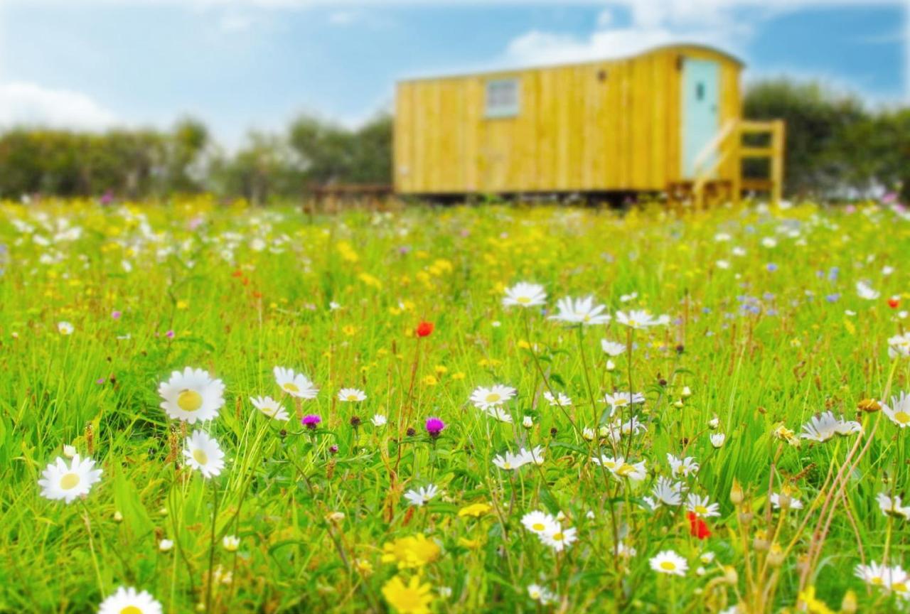 Honeysuckle Farm Holidays By Stay In Suffolk, Monk Soham Woodbridge Eksteriør billede